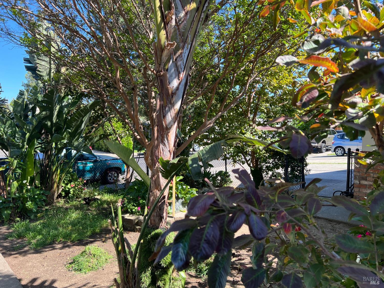 1831 Clay Street Fairfield CA 94533