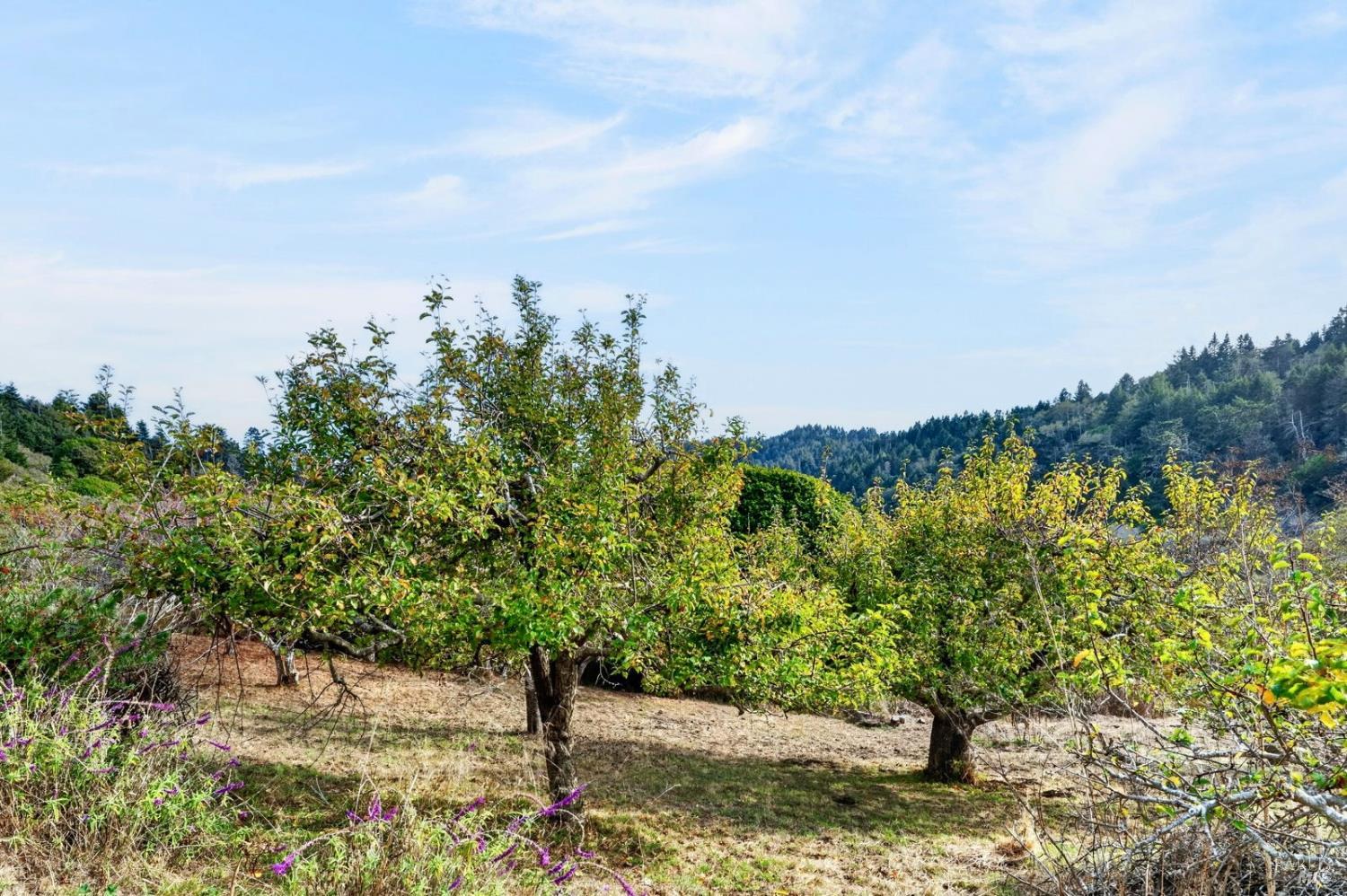 29100 Camp 2 Ten Mile Road Fort Bragg CA 95437