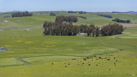 530 Tomales Road Petaluma CA 94952