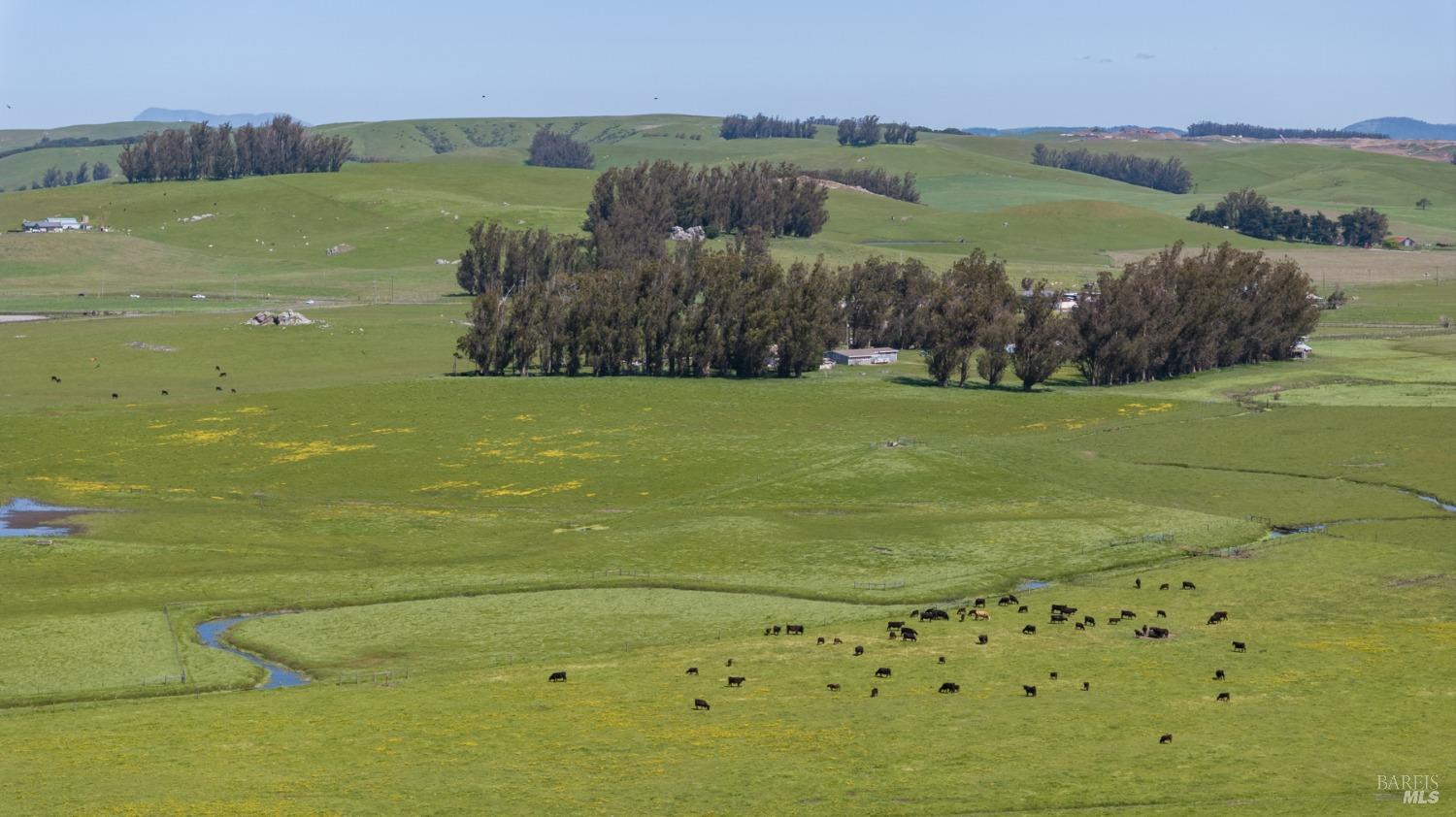 530 Tomales Road Petaluma CA 94952