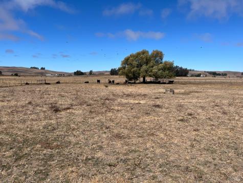 530 Tomales Road Petaluma CA 94952
