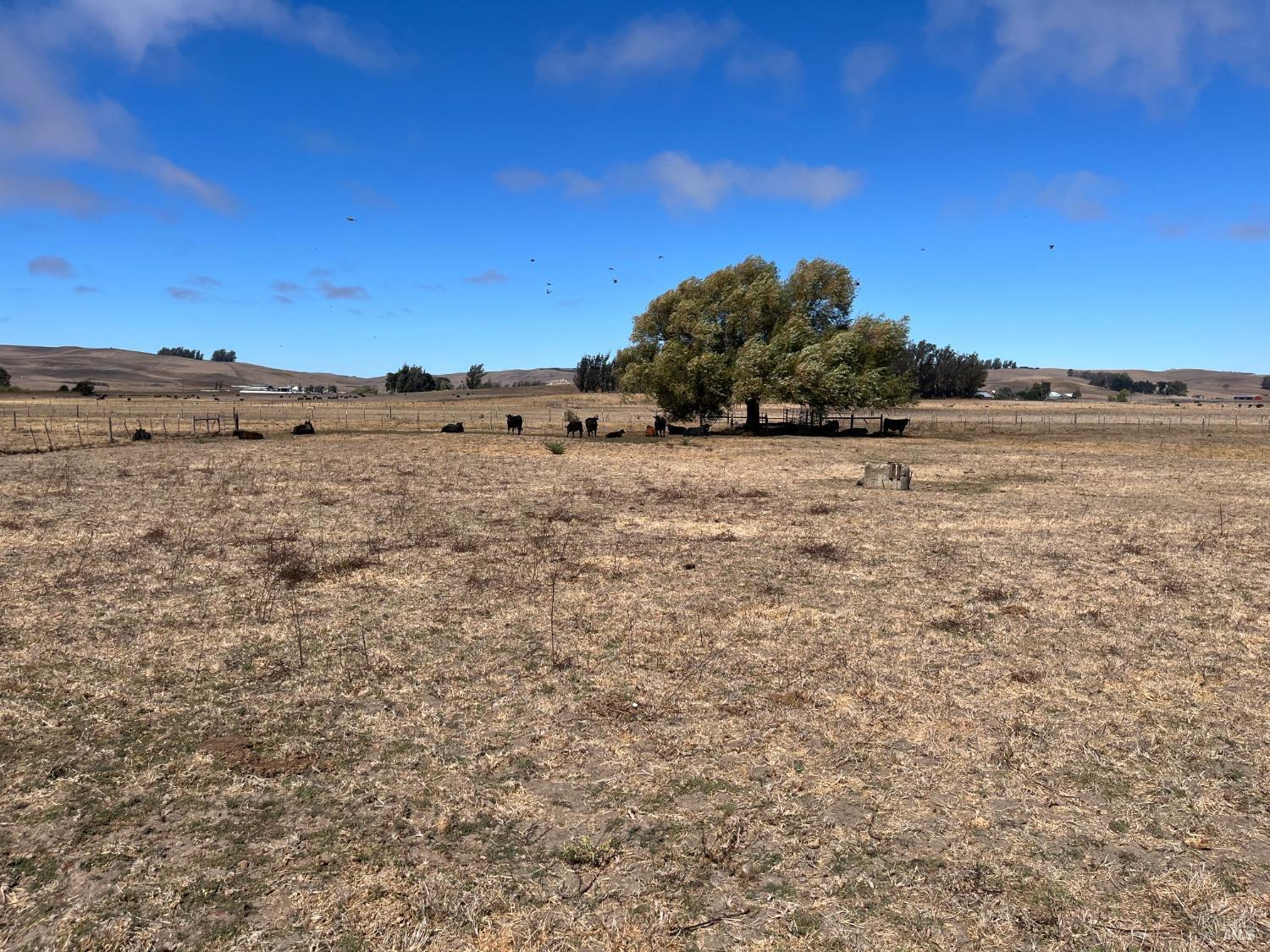 530 Tomales Road Petaluma CA 94952
