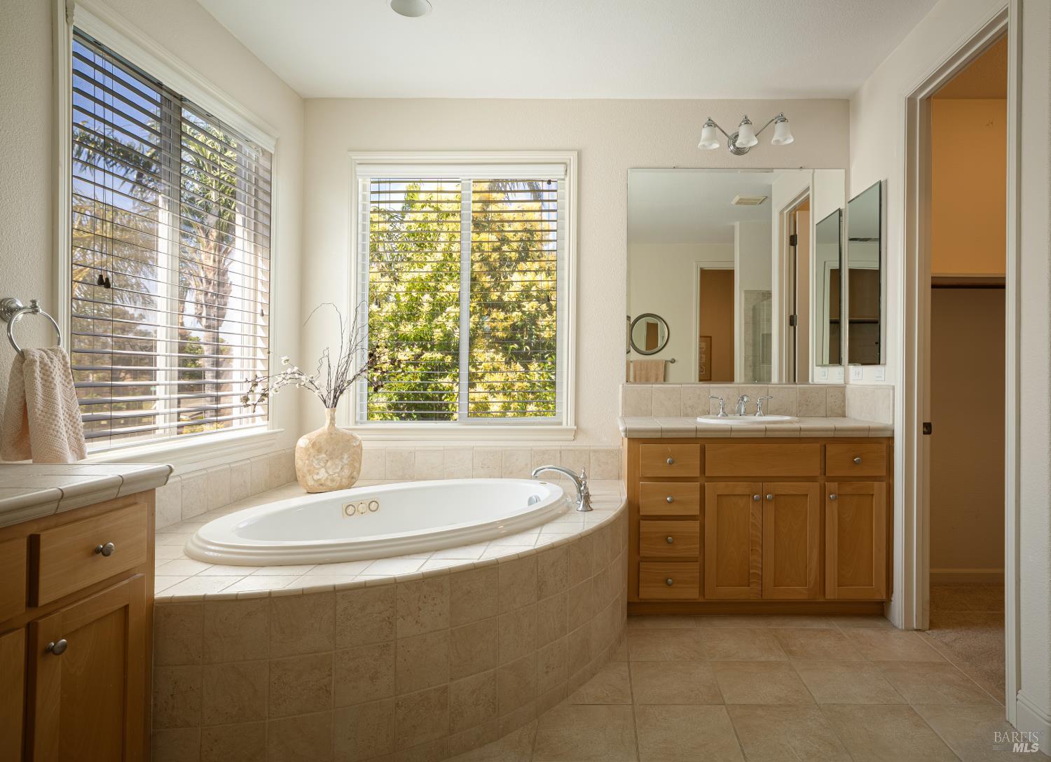219 Snowy Owl Drive Vacaville CA 95687