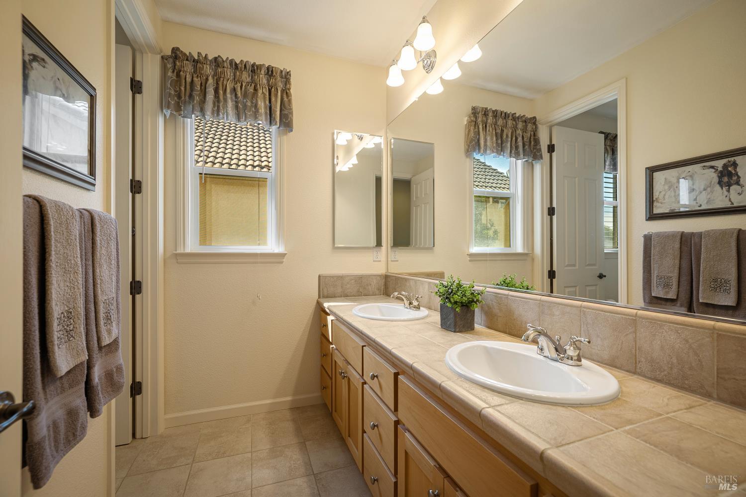 219 Snowy Owl Drive Vacaville CA 95687