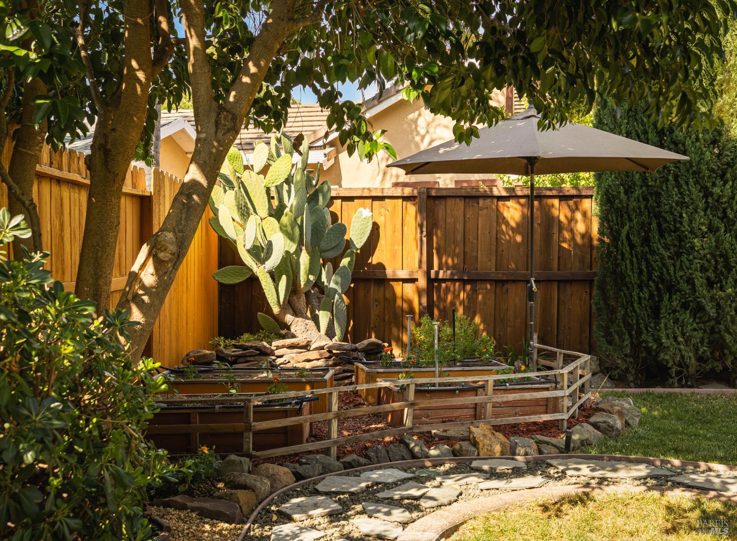 219 Snowy Owl Drive Vacaville CA 95687