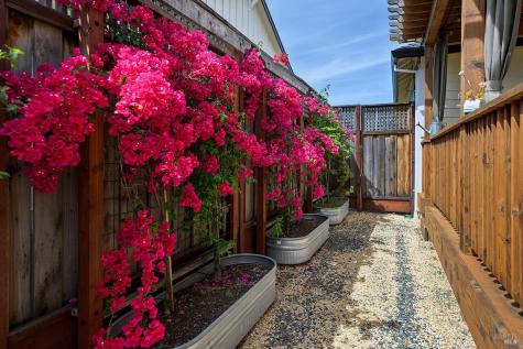 4551 Brighton Drive Santa Rosa CA 95403
