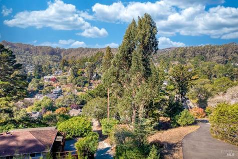 20 Poppy Lane Mill Valley CA 94941