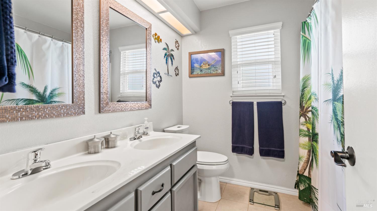 606 Sunnyvale Place Vacaville CA 95687