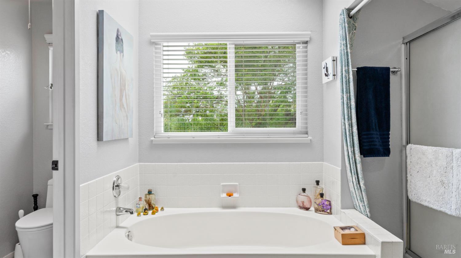 606 Sunnyvale Place Vacaville CA 95687