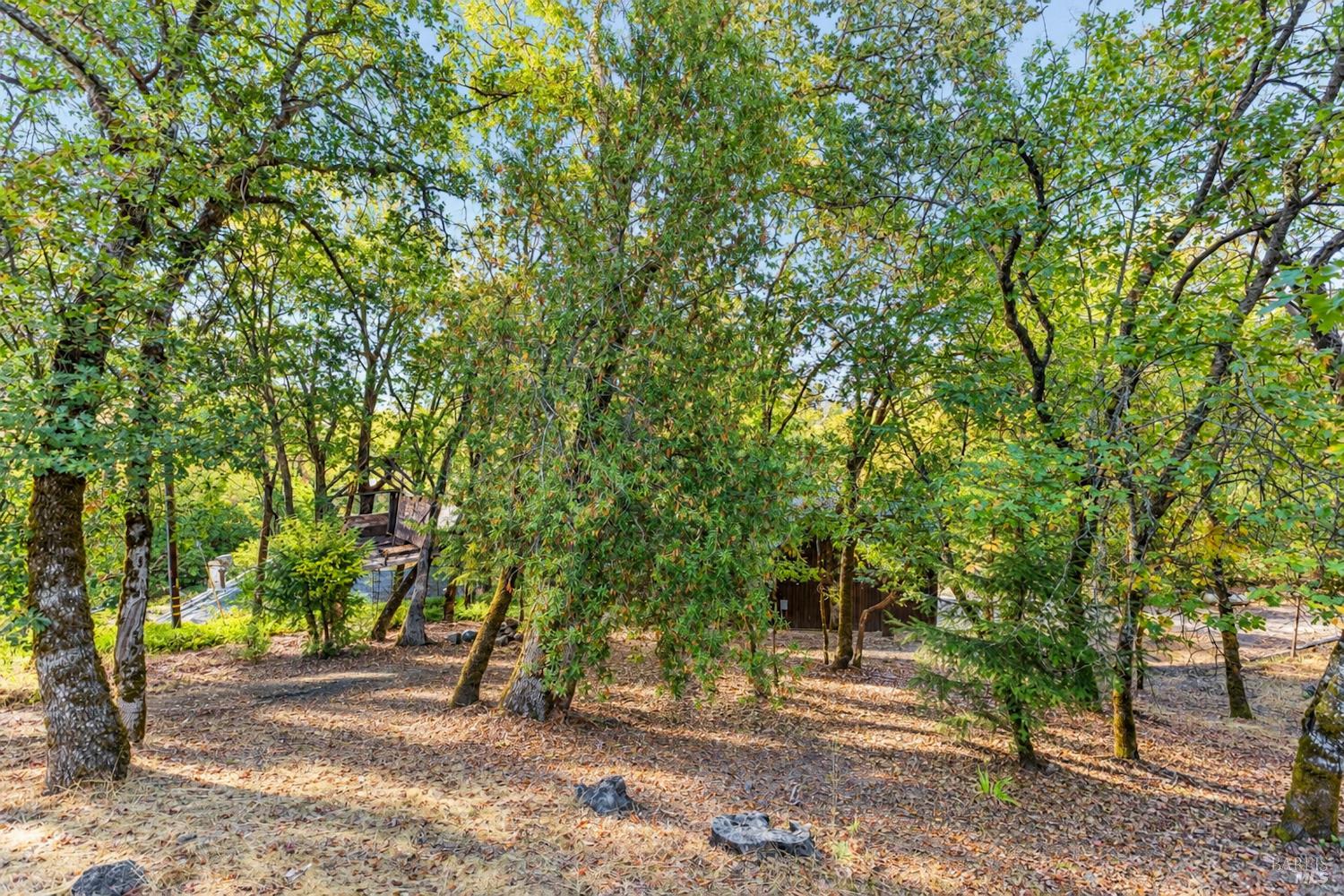 370 Laurel Street Willits CA 95490
