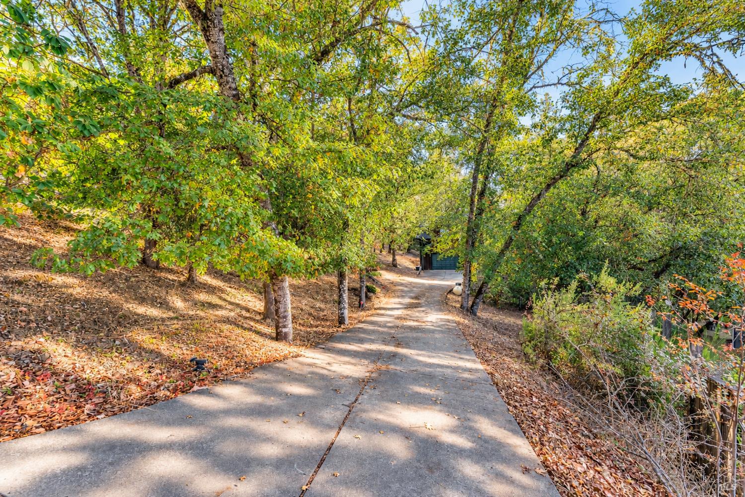 370 Laurel Street Willits CA 95490