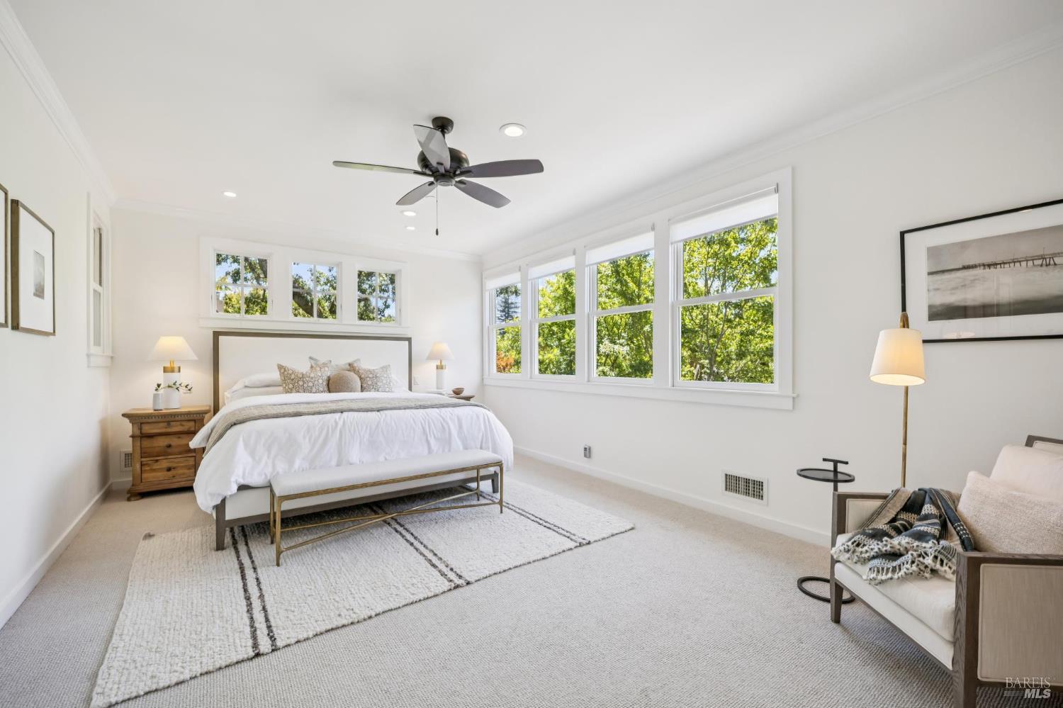 3 Agatha Court San Anselmo CA 94960