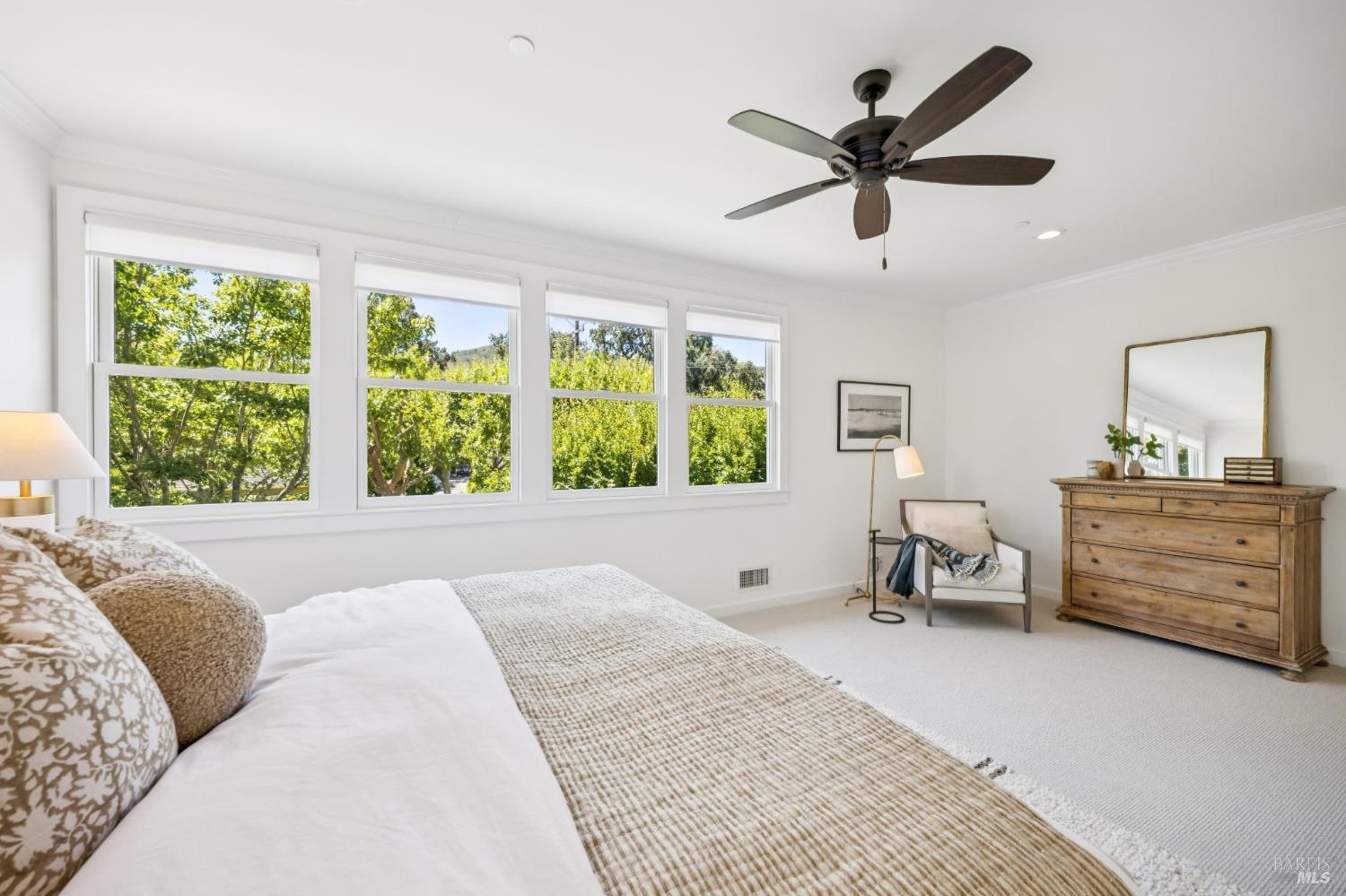 3 Agatha Court San Anselmo CA 94960