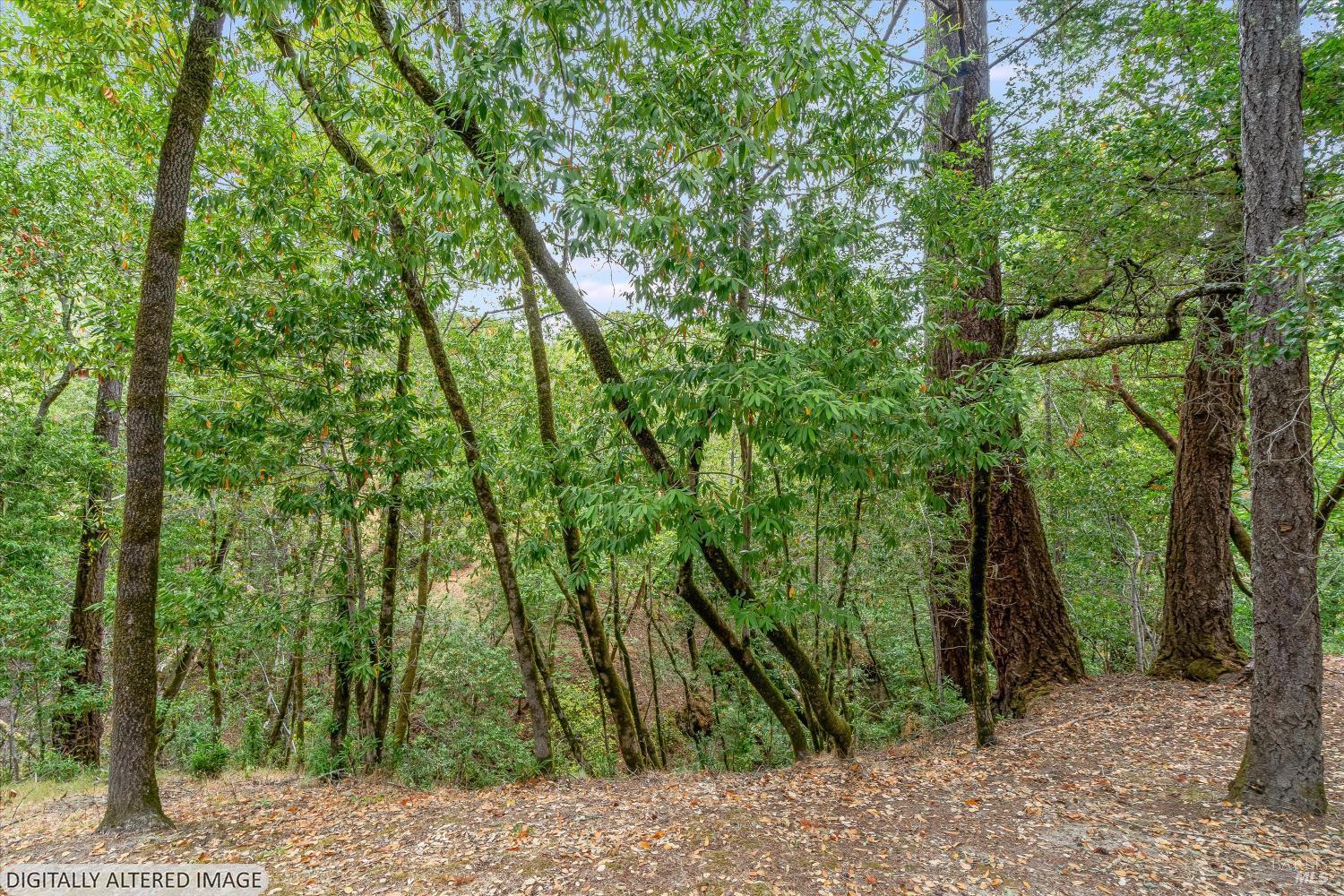 5439 Vista Grande Drive Santa Rosa CA 95403