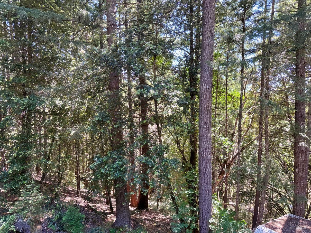 4345 Blackhawk Drive Willits CA 95490
