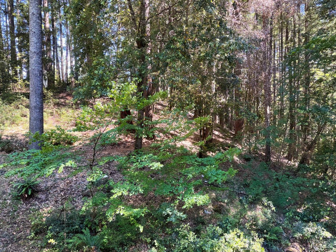 4345 Blackhawk Drive Willits CA 95490