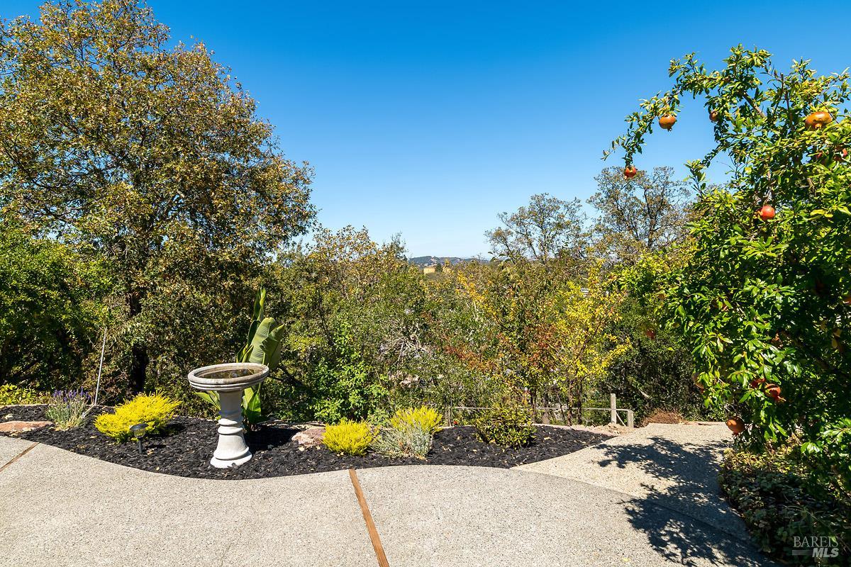 22 Terry Circle Novato CA 94947