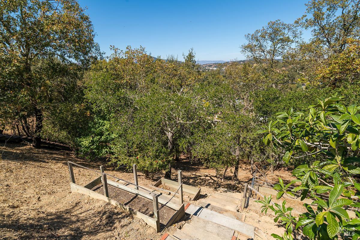 22 Terry Circle Novato CA 94947