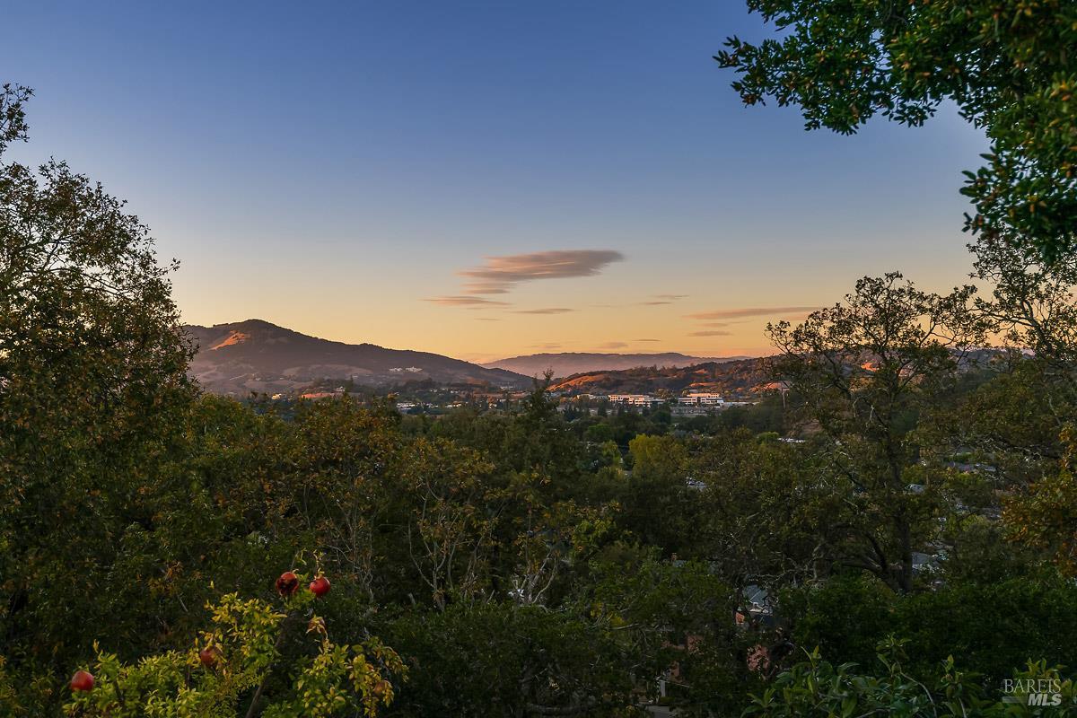 22 Terry Circle Novato CA 94947