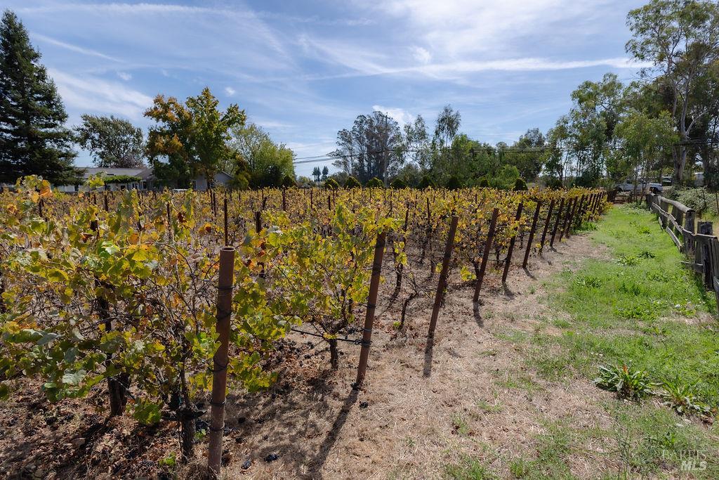 2565 Piner Road Santa Rosa CA 95401