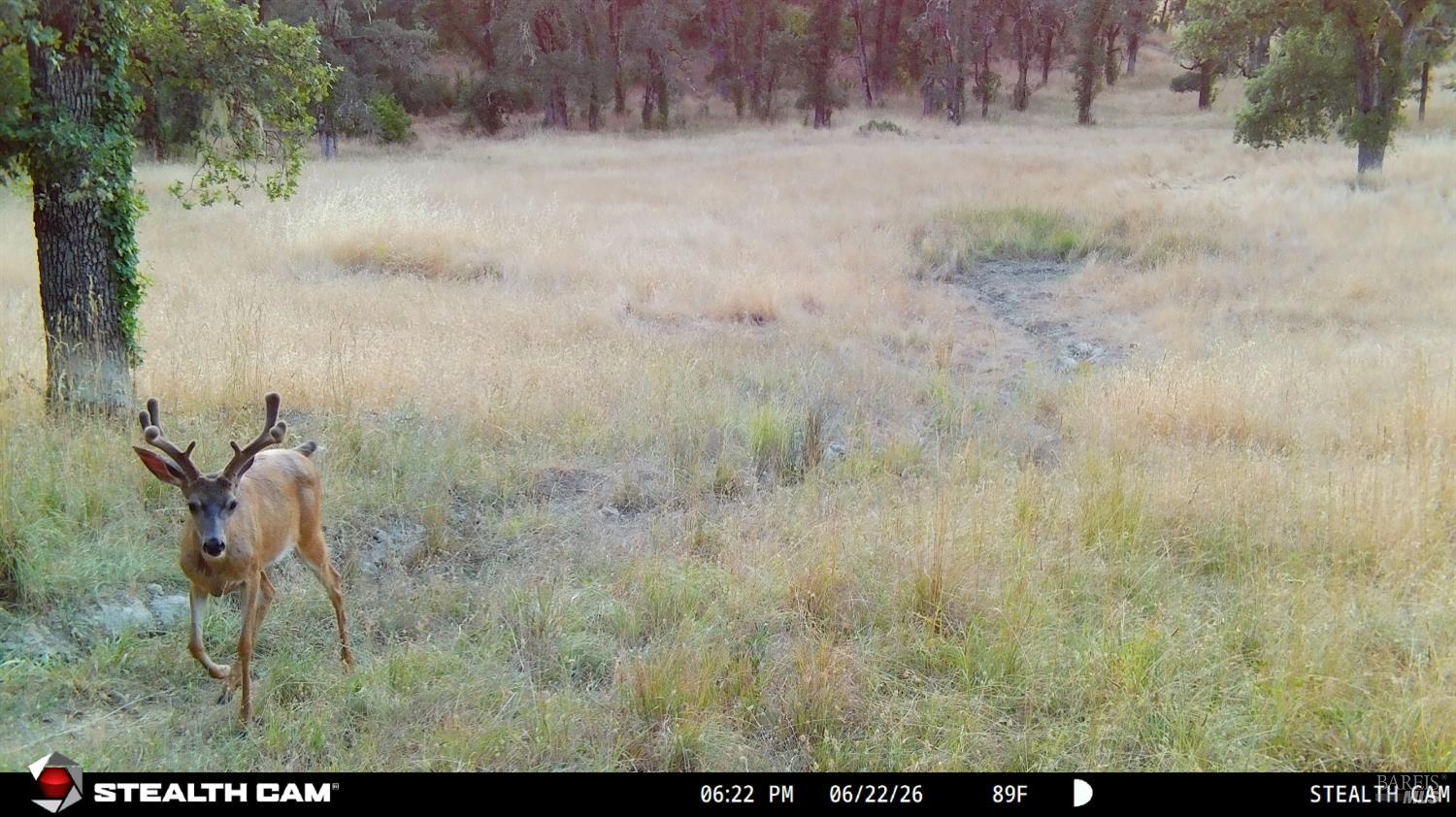 73001 Covelo Road Covelo CA 95428