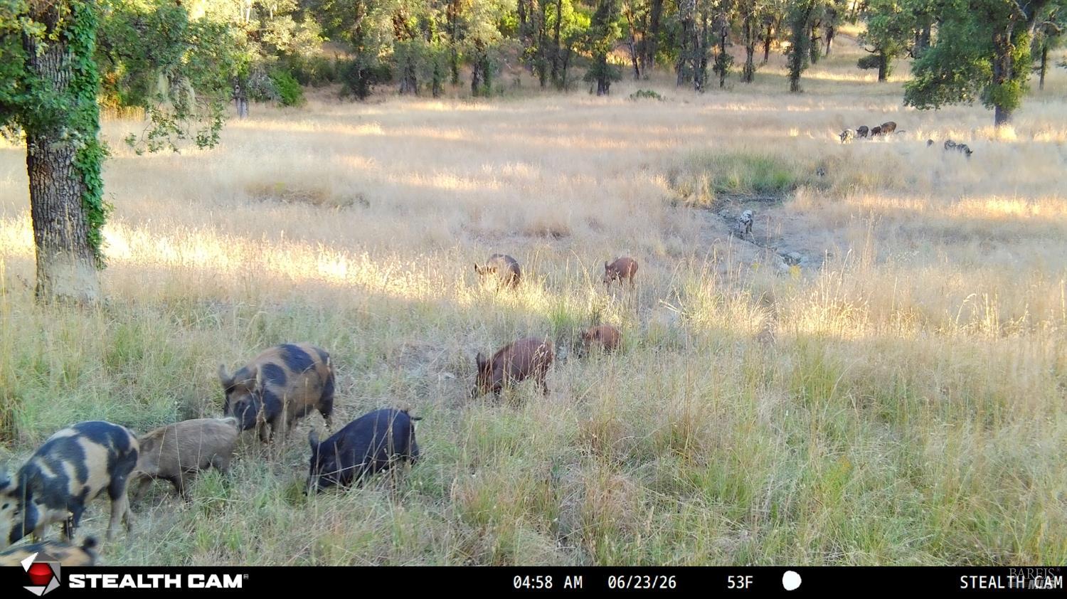 73001 Covelo Road Covelo CA 95428