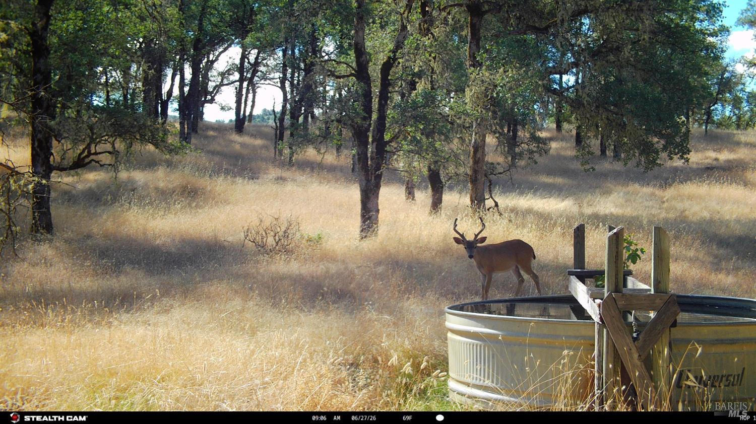 73001 Covelo Road Covelo CA 95428