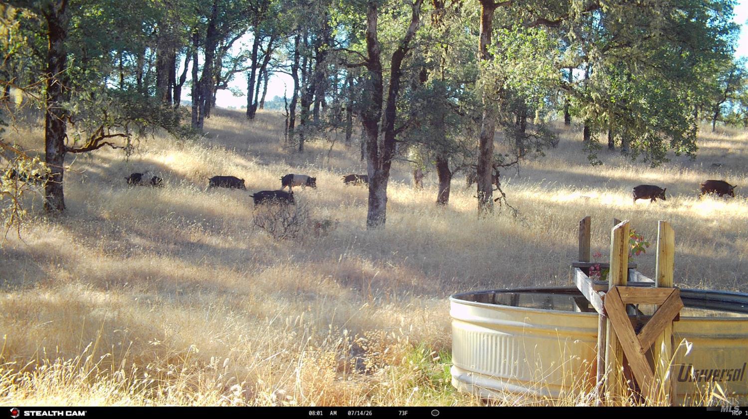 73001 Covelo Road Covelo CA 95428