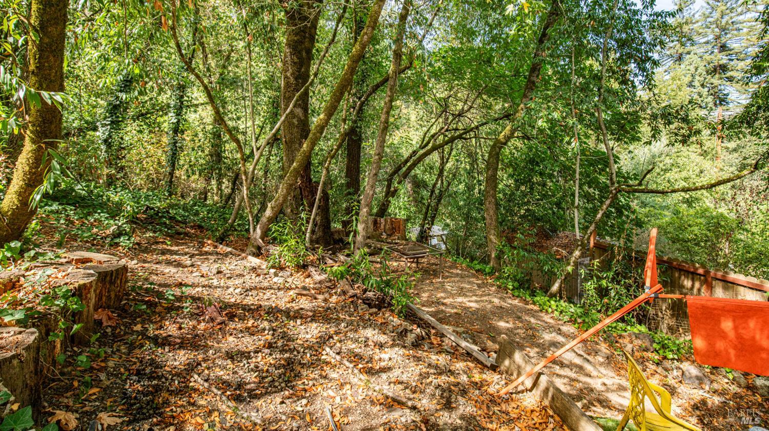 9199 Rio Vista Road Forestville CA 95436