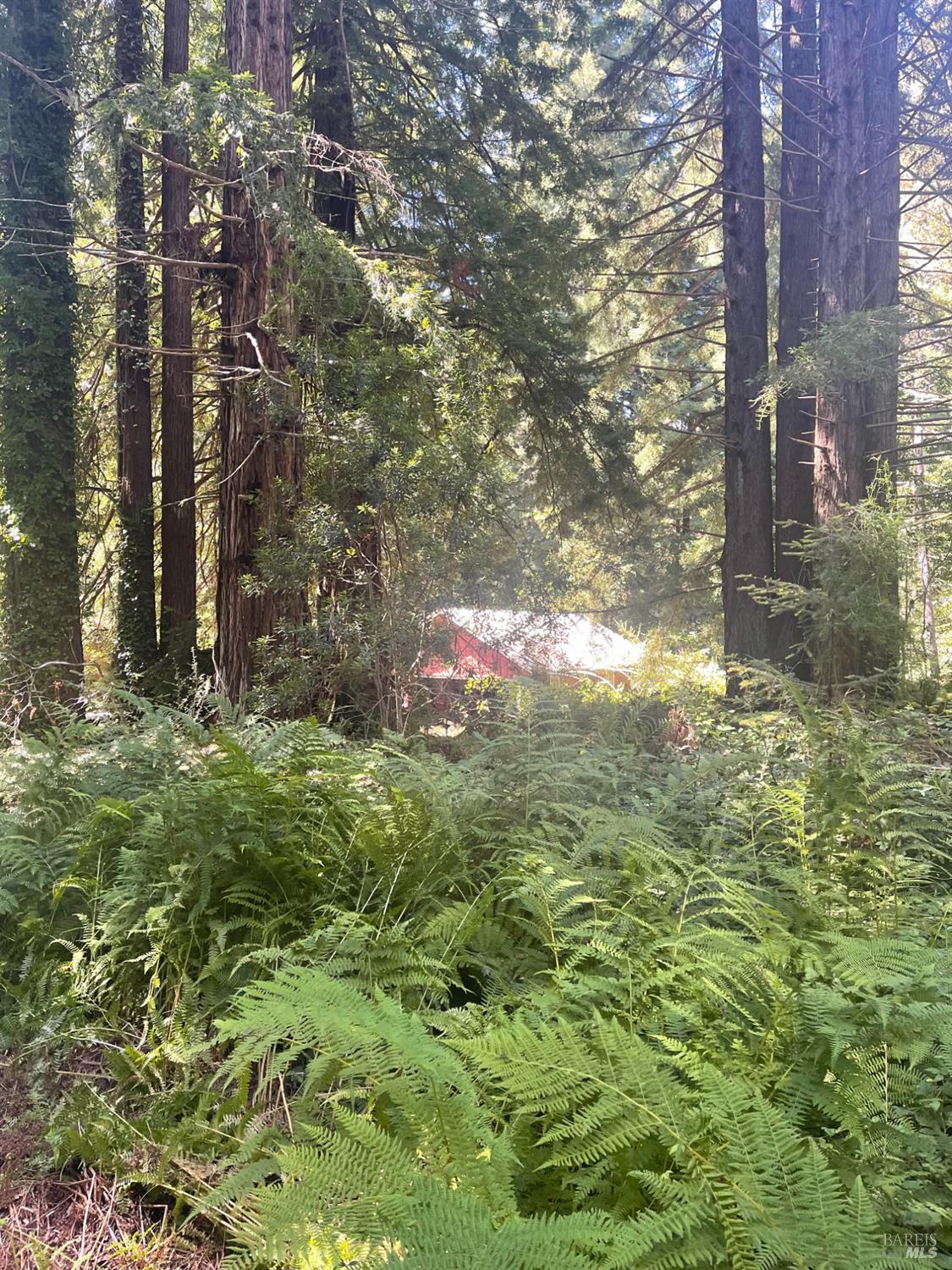 29500 Albion Ridge Road Albion CA 95410