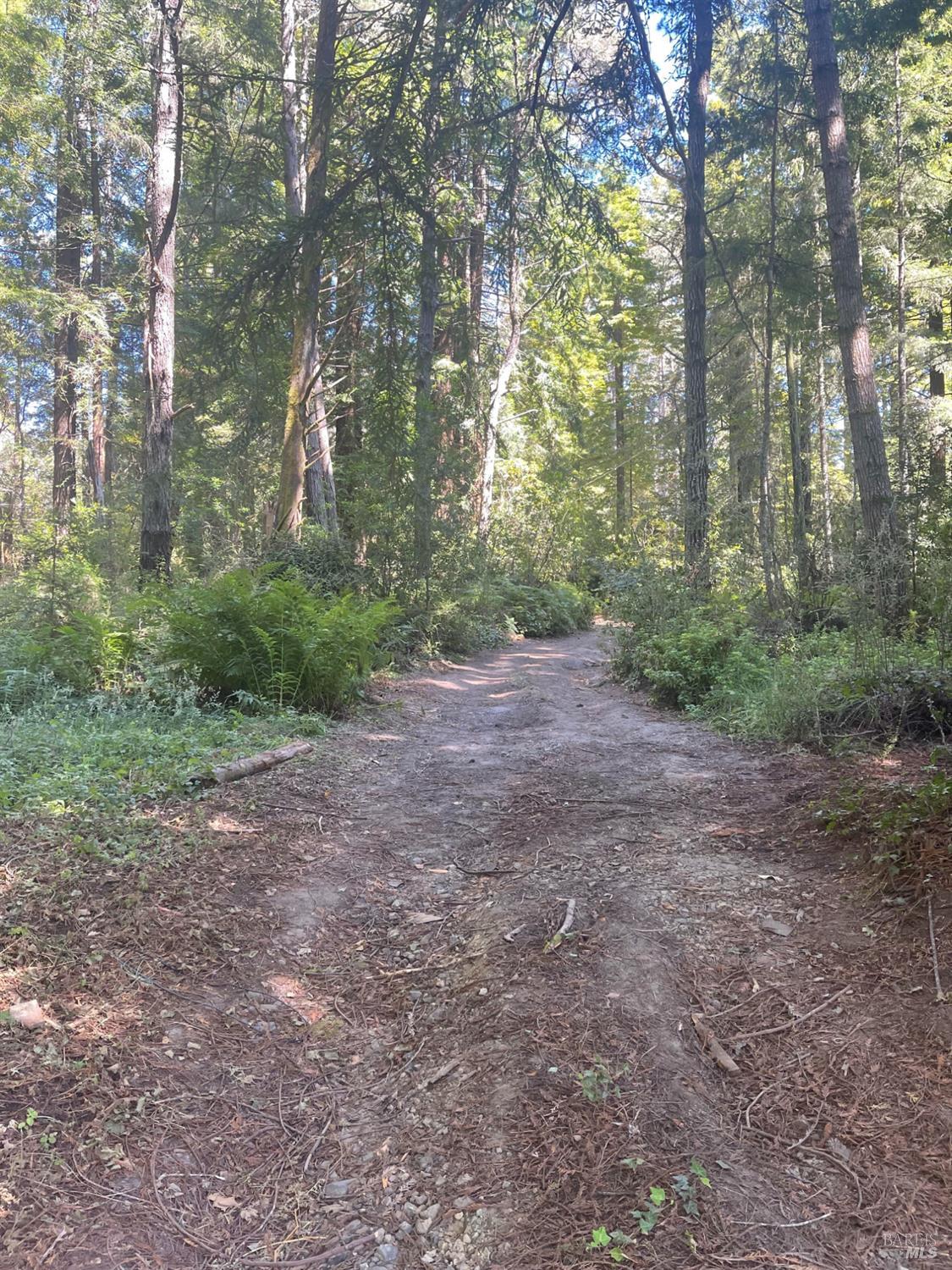 29500 Albion Ridge Road Albion CA 95410