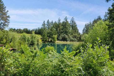 1633 Dry Creek Road Healdsburg CA 95448