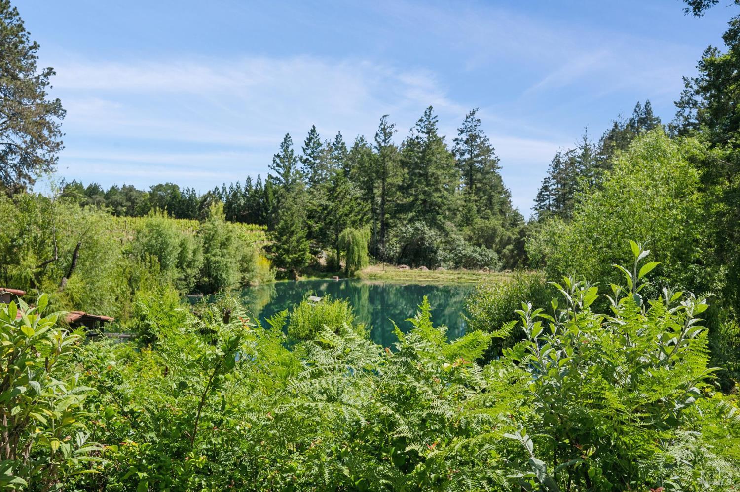 1633 Dry Creek Road Healdsburg CA 95448