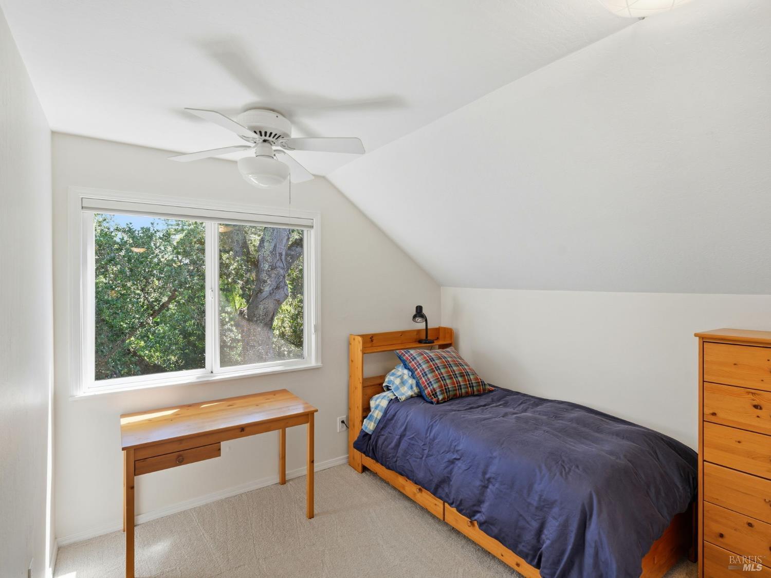 31 Roca Court Novato CA 94947