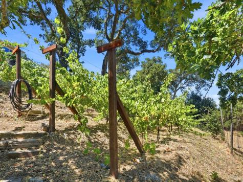 31 Roca Court Novato CA 94947