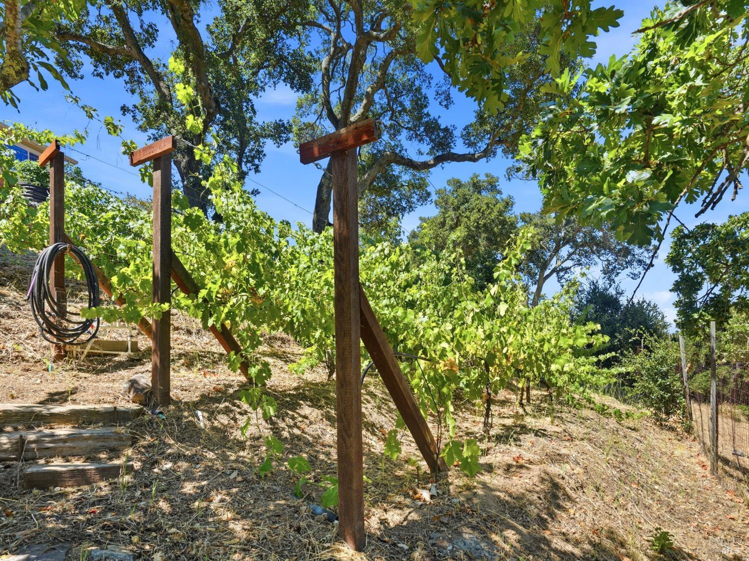 31 Roca Court Novato CA 94947