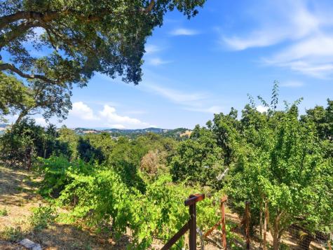 31 Roca Court Novato CA 94947