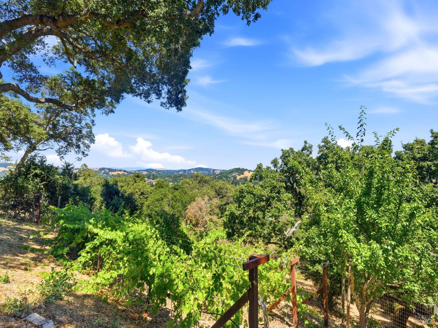 31 Roca Court Novato CA 94947