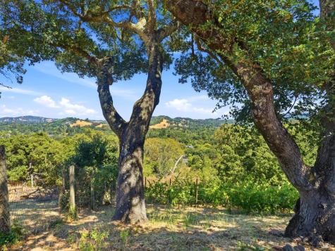 31 Roca Court Novato CA 94947