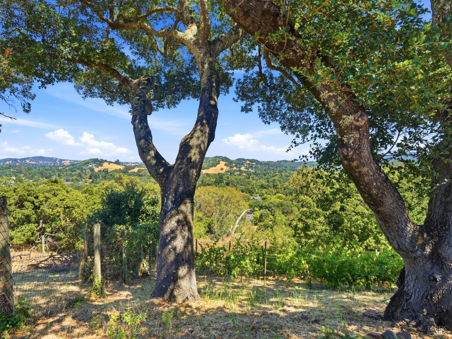 31 Roca Court Novato CA 94947