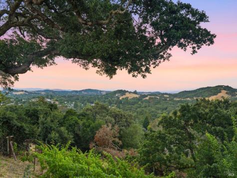 31 Roca Court Novato CA 94947