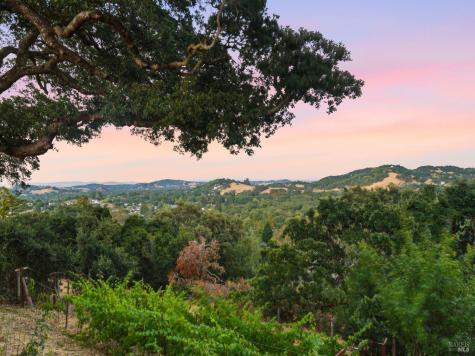 31 Roca Court Novato CA 94947