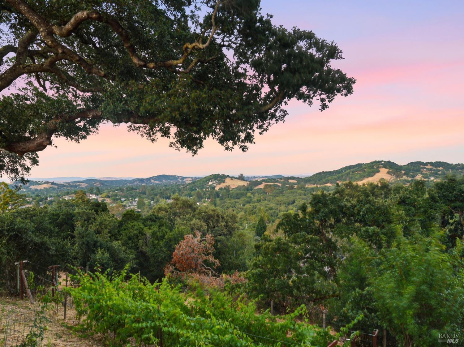 31 Roca Court Novato CA 94947