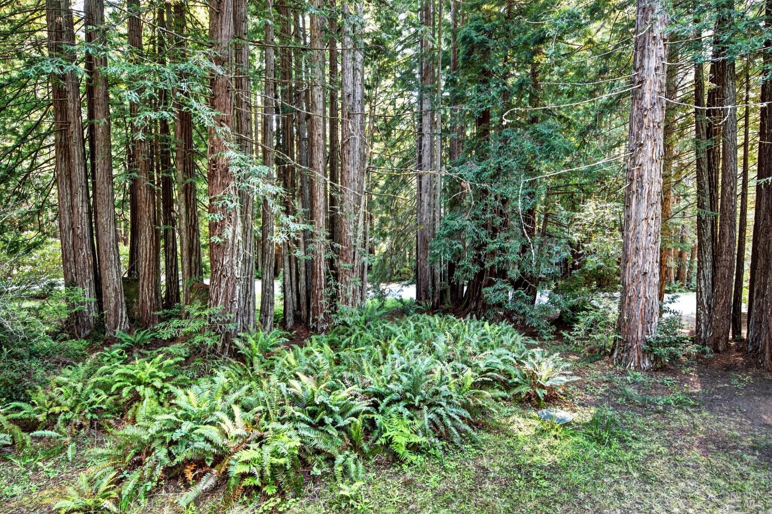 37250 Schooner Drive The Sea Ranch CA 95497