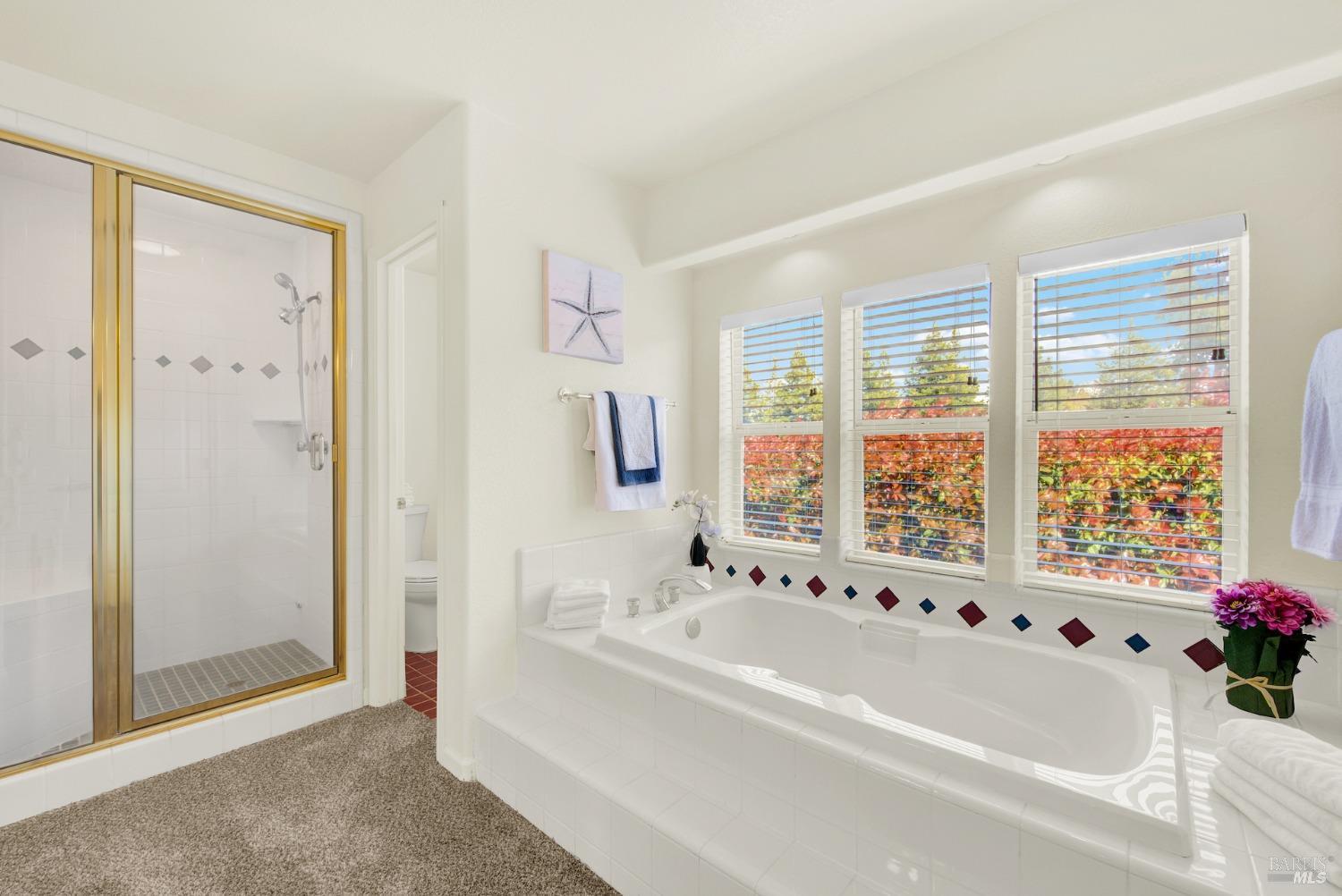 5050 Melissa Lane Vacaville CA 95688