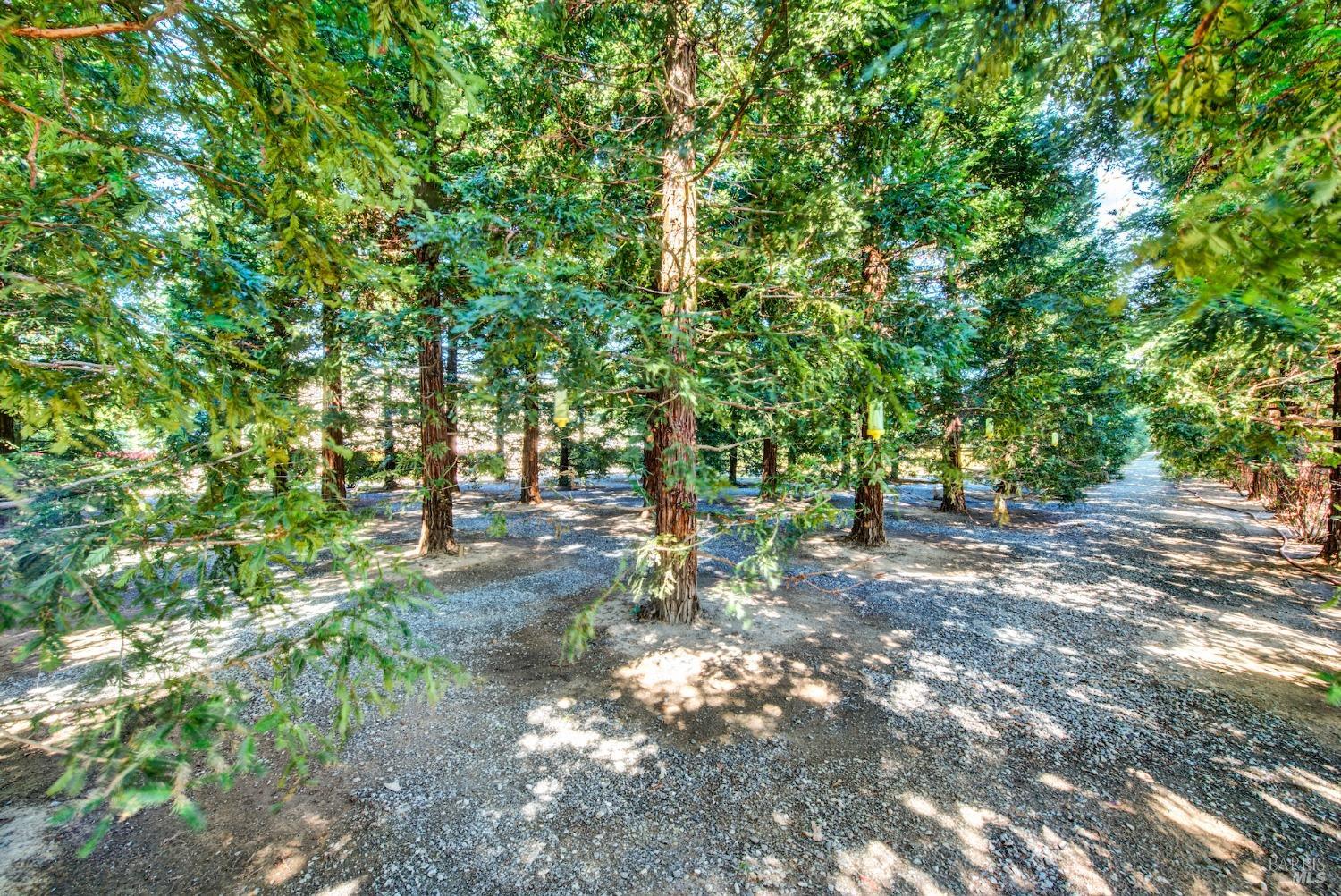 5050 Melissa Lane Vacaville CA 95688