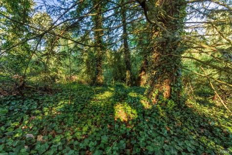 5070 Blank Road Sebastopol CA 95472