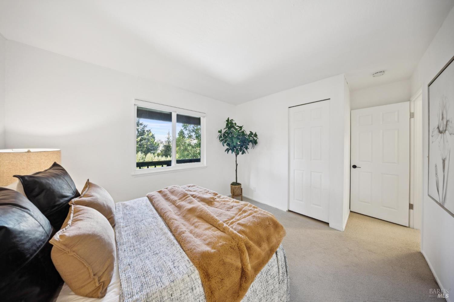 76 Forrest Avenue San Anselmo CA 94960