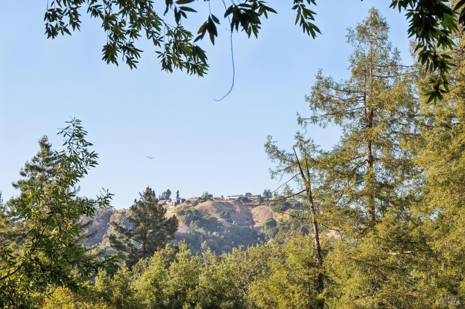 76 Forrest Avenue San Anselmo CA 94960