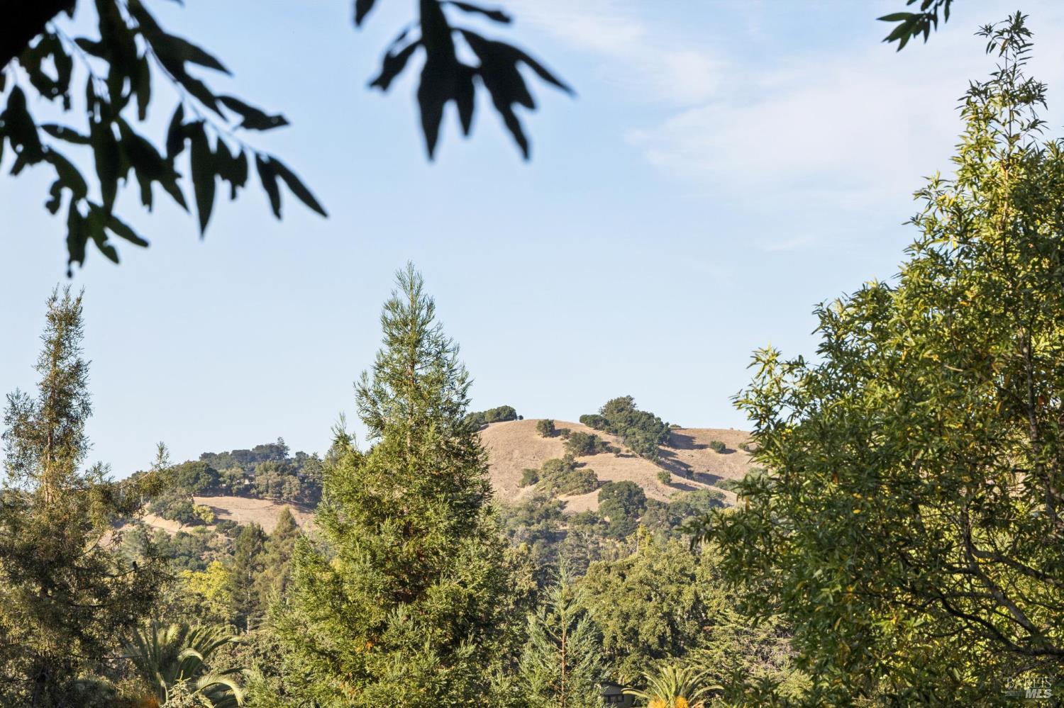 76 Forrest Avenue San Anselmo CA 94960